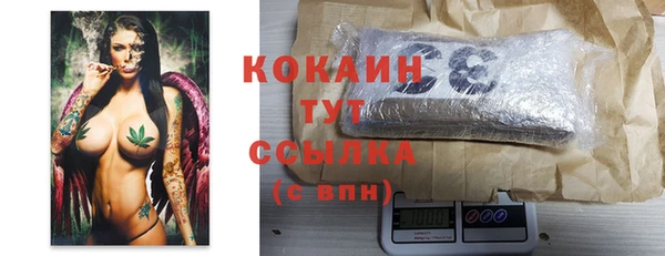 дживик Бронницы