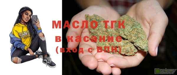 Альфа ПВП Бородино