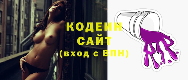 Альфа ПВП Бородино