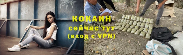 Альфа ПВП Бородино