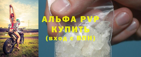 дживик Бронницы