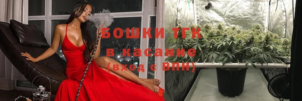 дживик Бронницы