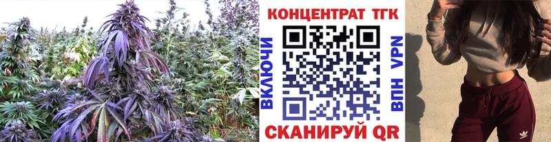 ТГК Wax  Брюховецкая 