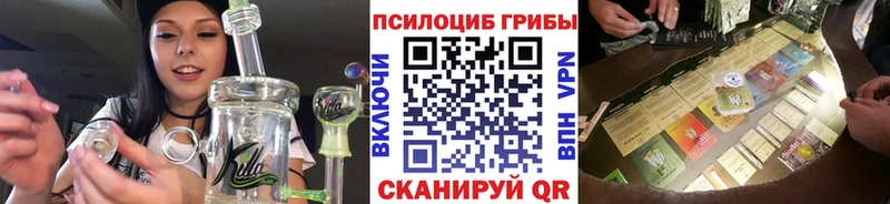 дарк нет состав  Брюховецкая  Псилоцибиновые грибы мухоморы 